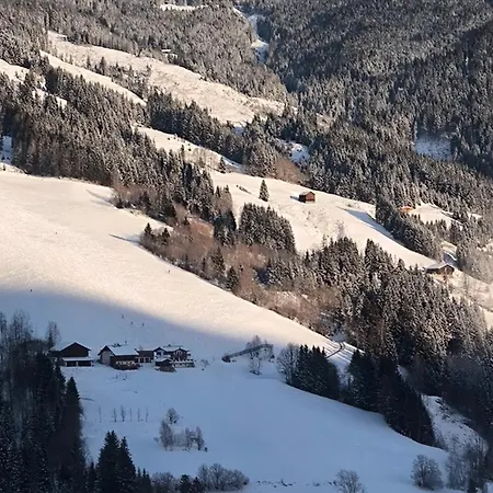 Hecherhof Holiday home Viehhofen