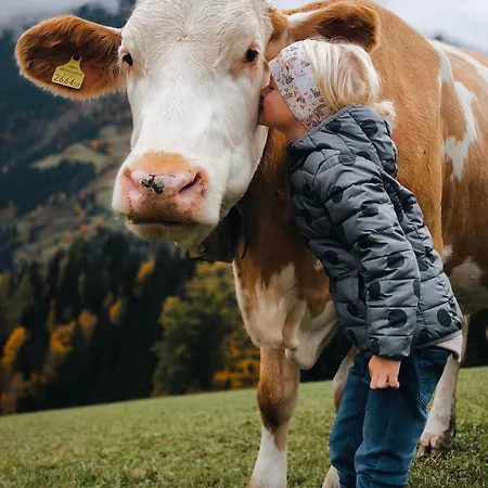Hecherhof 度假居 菲霍芬