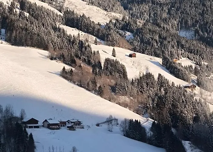 Hecherhof Hébergement de vacances Viehhofen